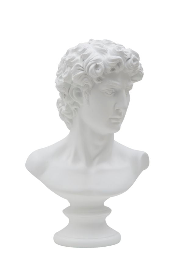 Büste David Weiß Skulptur 34cm Klassisch Resin Dekofigur