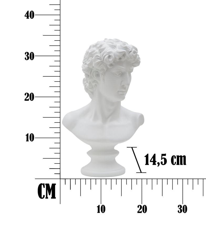 Büste David Weiß Skulptur 34cm Klassisch Resin Dekofigur