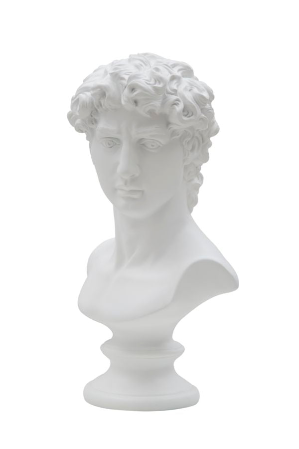 Büste David Weiß Skulptur 34cm Klassisch Resin Dekofigur