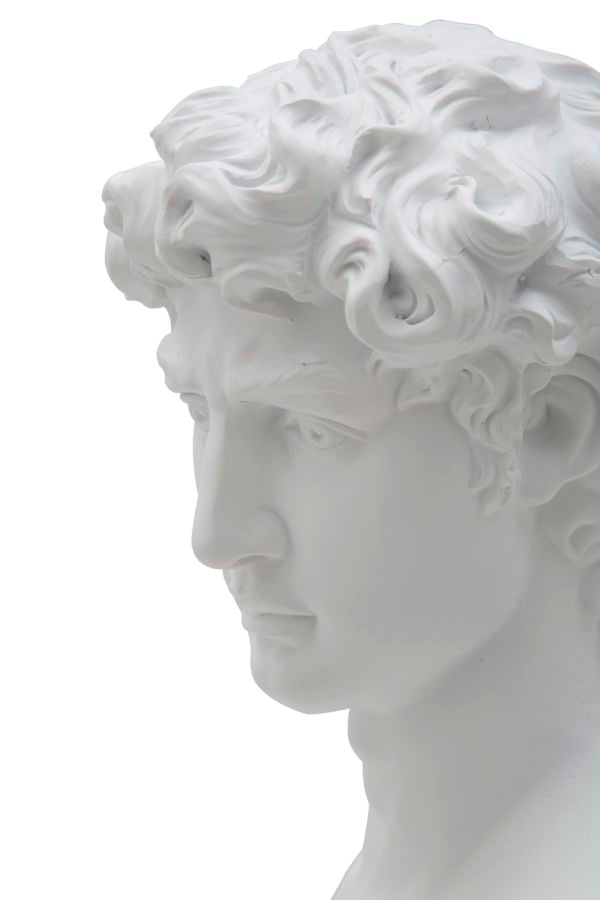 Büste David Weiß Skulptur 34cm Klassisch Resin Dekofigur