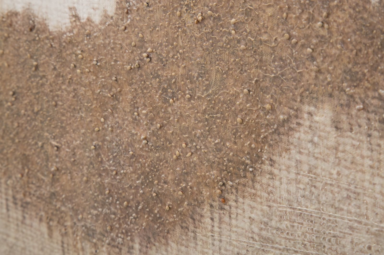 Wandbild Browny Nature Boho Chic 80x100cm Naturfarben