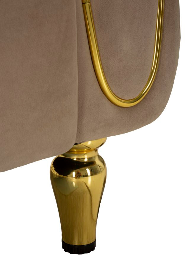 Samt Sofa Alma Grigio 155 cm mit Kissen und Goldfüßen