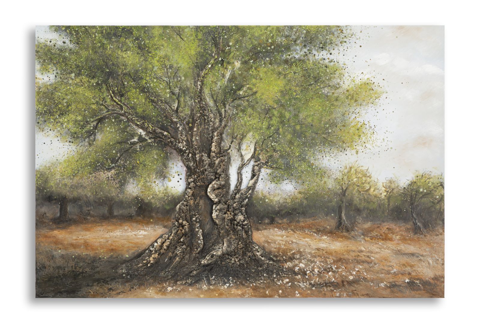 Wandbild Olea 120x80 Handgemaltes Leinwandbild Olivenbaum Natur Landschaft