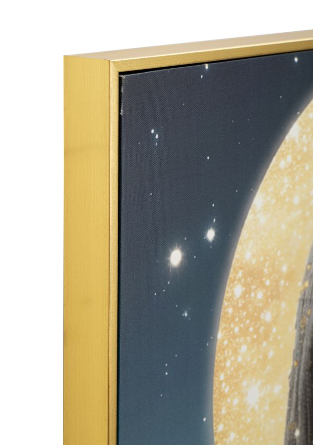 Wandbild Frau Mond LED Leinwand Bild Luna Mystique
