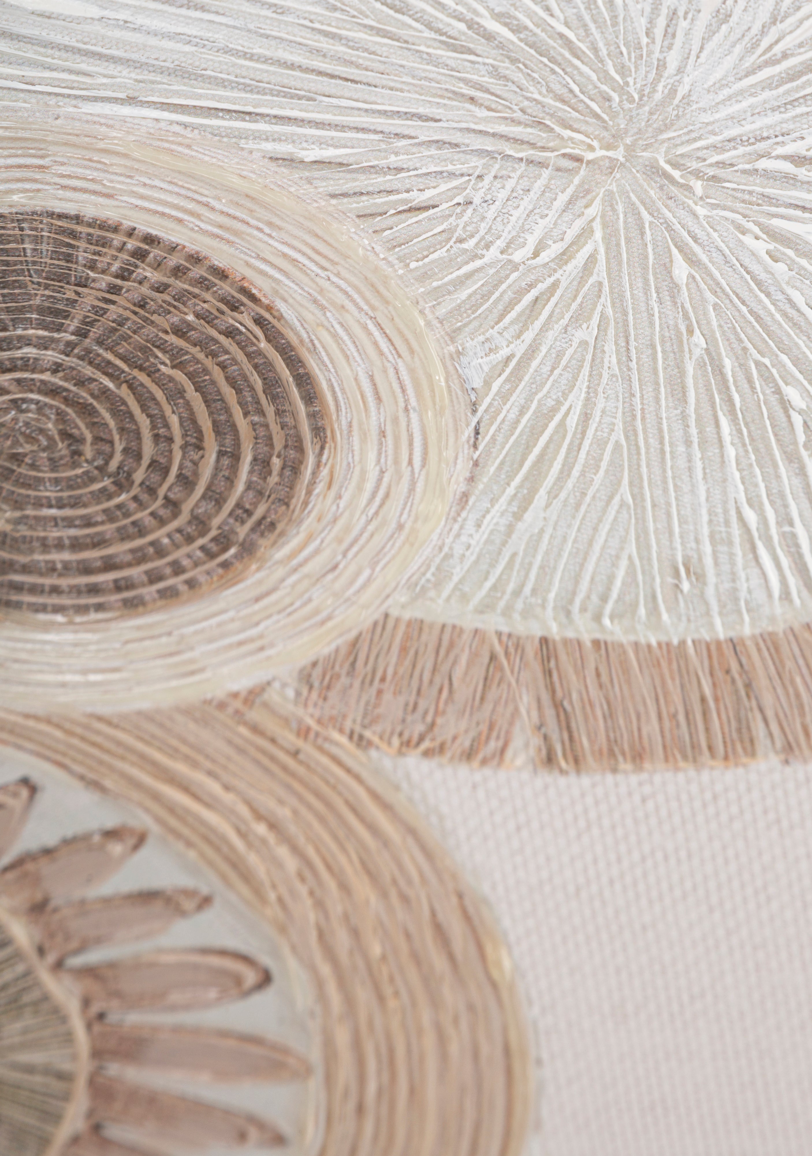 Wandbild Circly Naturtöne Boho Chic 50x100cm Leinwand Kunst