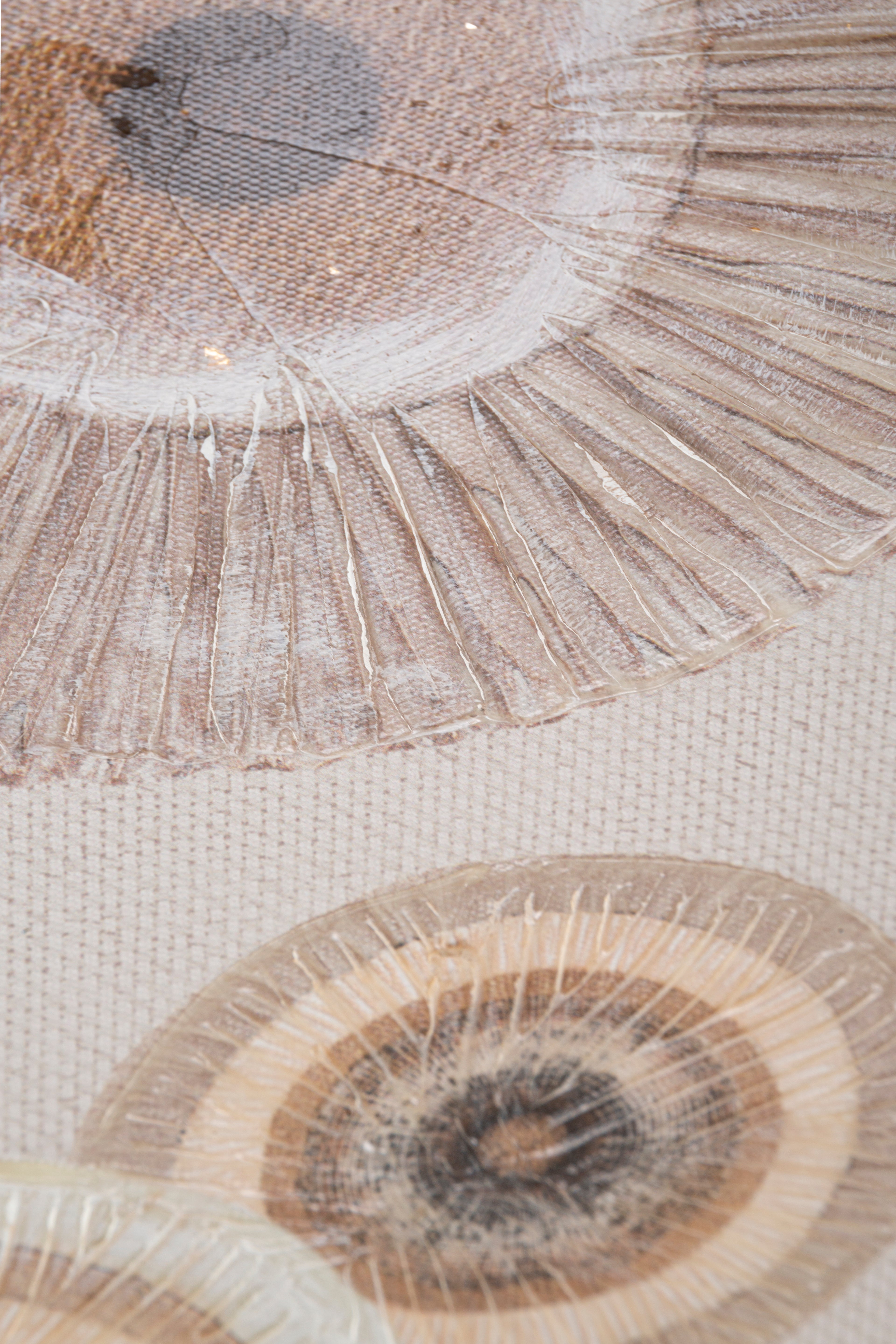 Wandbild Circly Naturtöne Boho Chic 50x100cm Leinwand Kunst