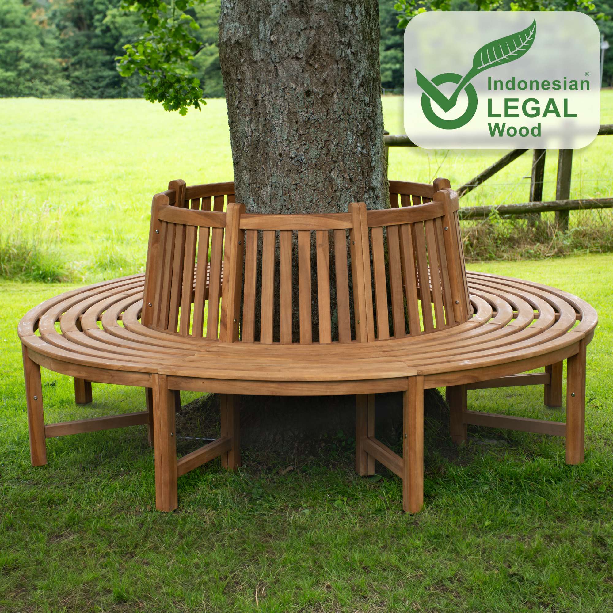 180° Baumbank Male mit Rückenlehne aus Teak