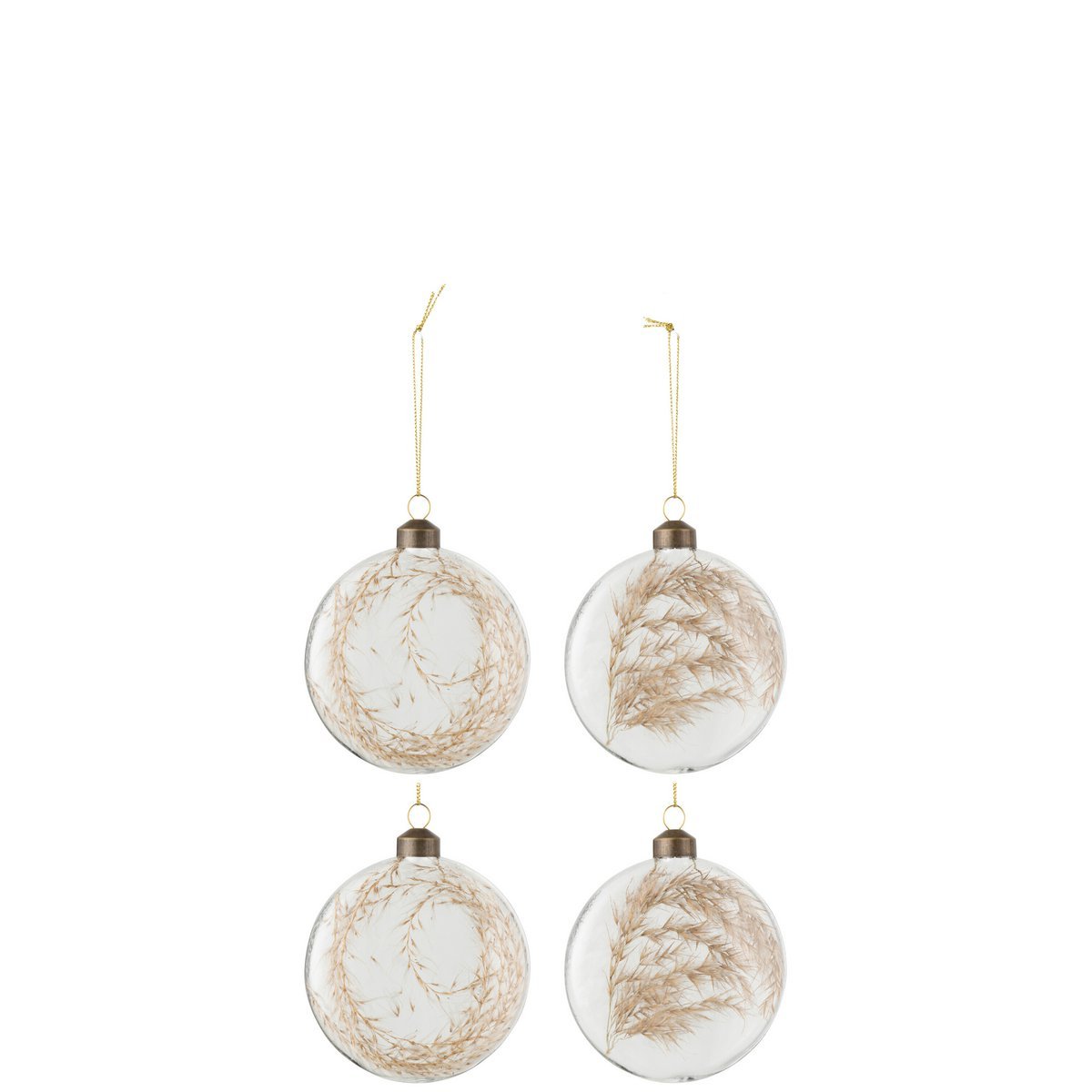 Box mit 4 Weihnachtskugeln, rund, flach, 2+2 getrocknetes Pampasglas, transparent, mittelgroß