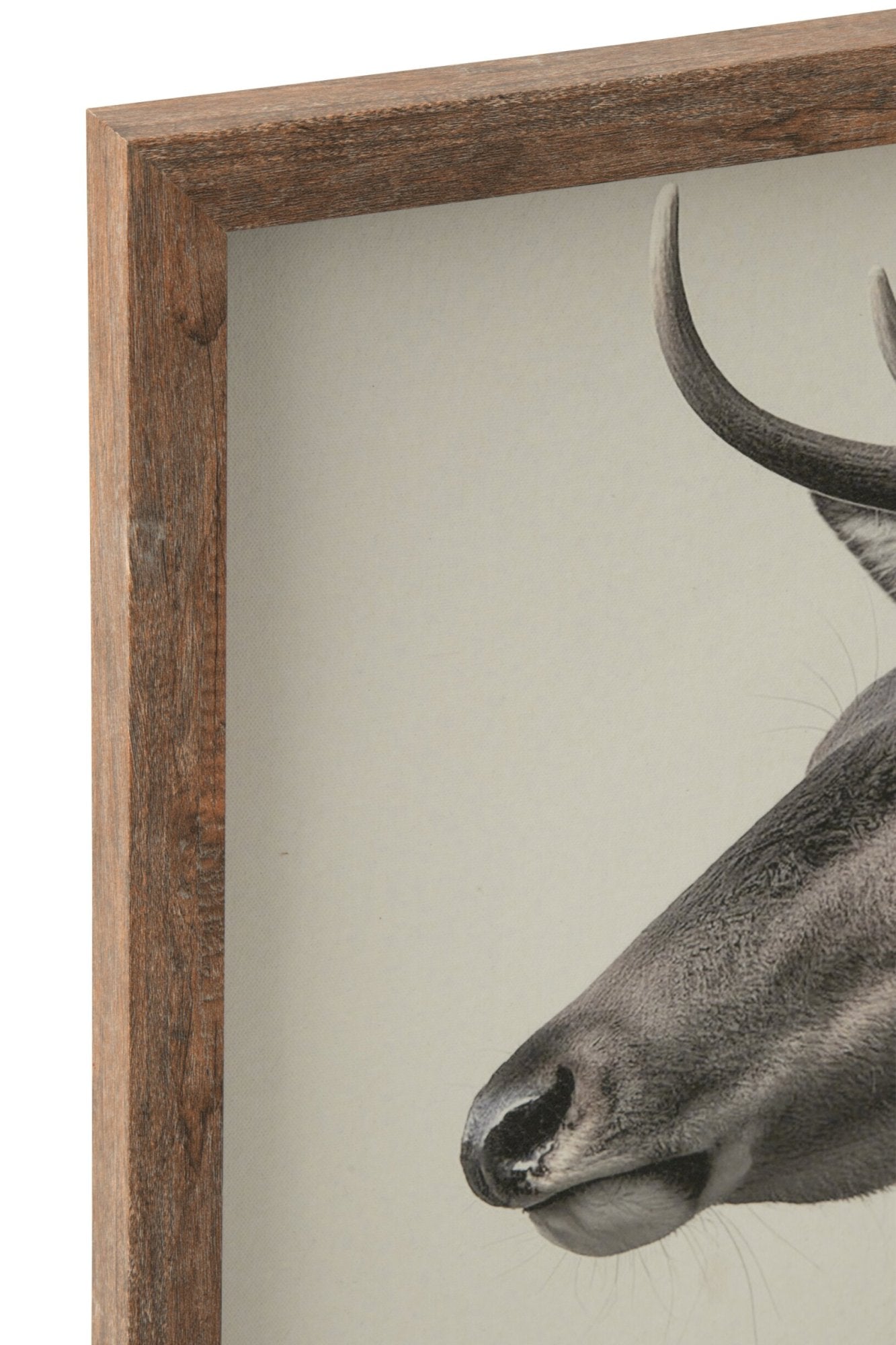 Wandbild Hirsch Cervo 2er Set Grau Braun