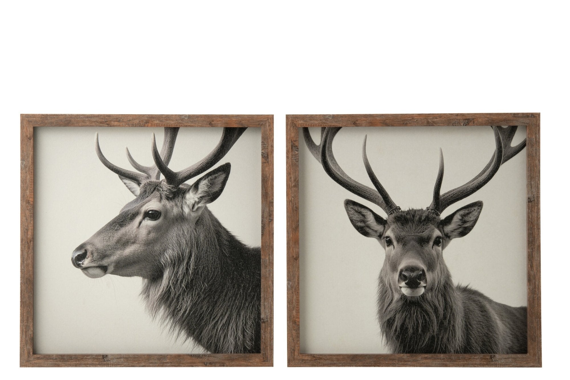 Wandbild Hirsch Cervo 2er Set Grau Braun
