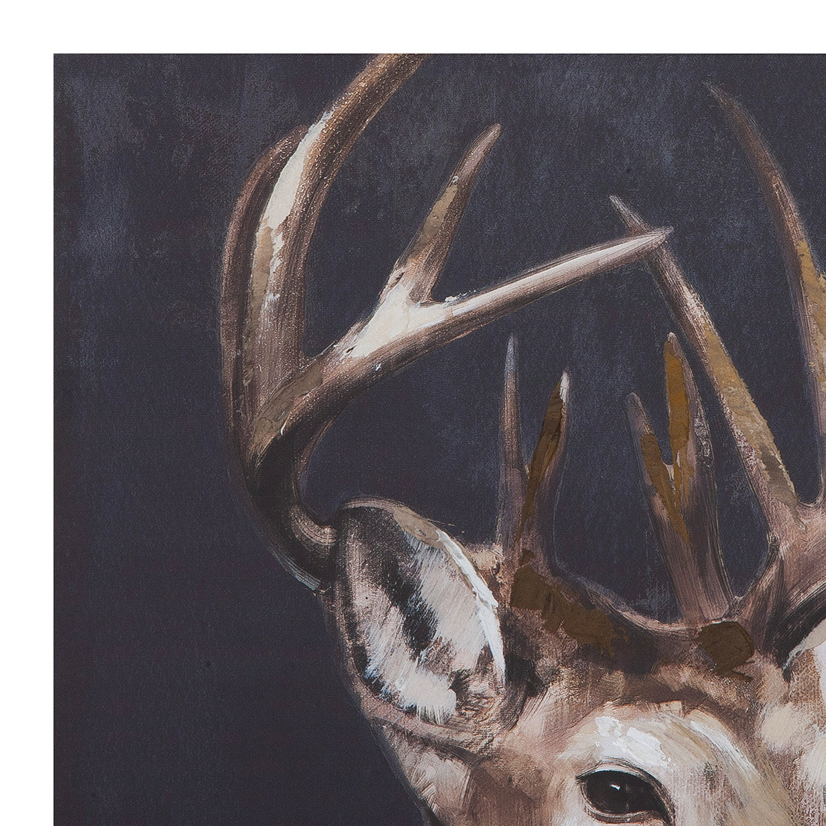 Leinwandbild Hirsch Schwarz Braun 60x60cm Quadratisch