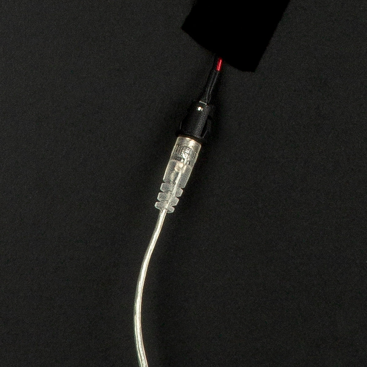 Bild LED Bird On Ear Leinwand mehrfarbig