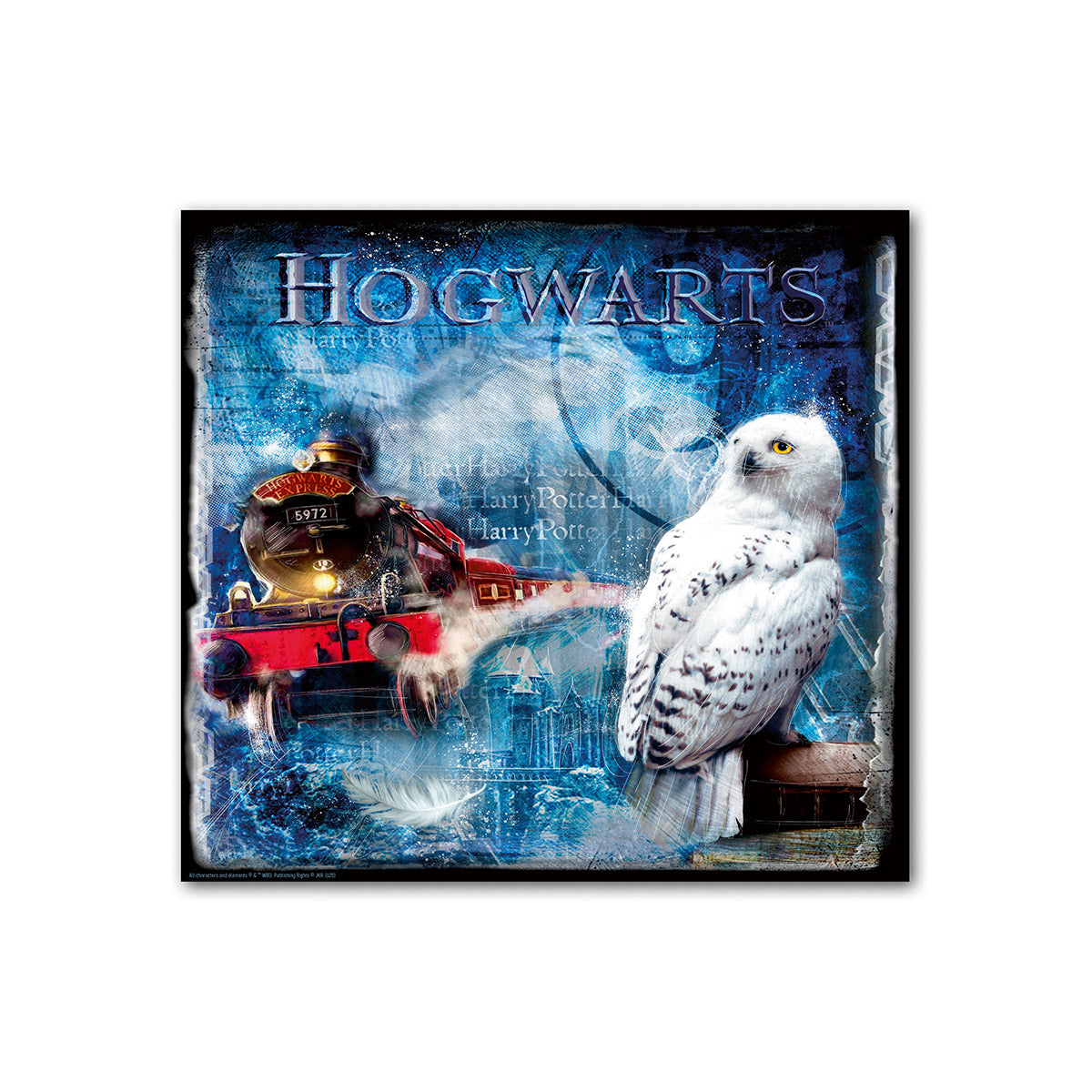 Wandbild Hogwarts Hedwig mehrfarbig 70x70cm Leinwand quadratisch