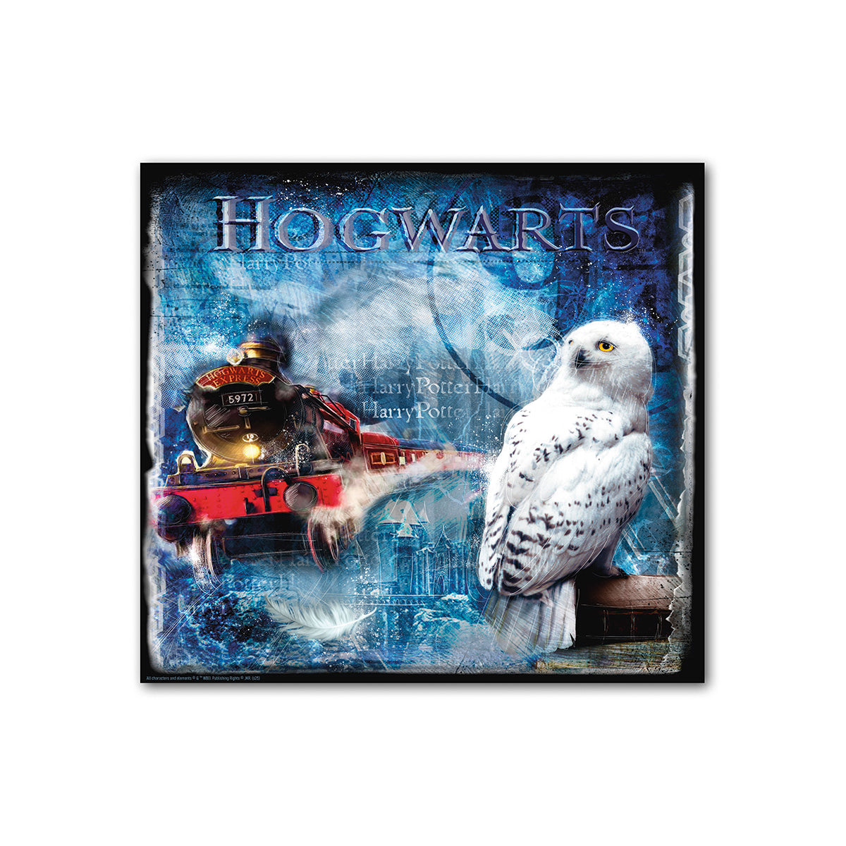 Wandbild Hogwarts Hedwig mehrfarbig 70x70cm Leinwand quadratisch