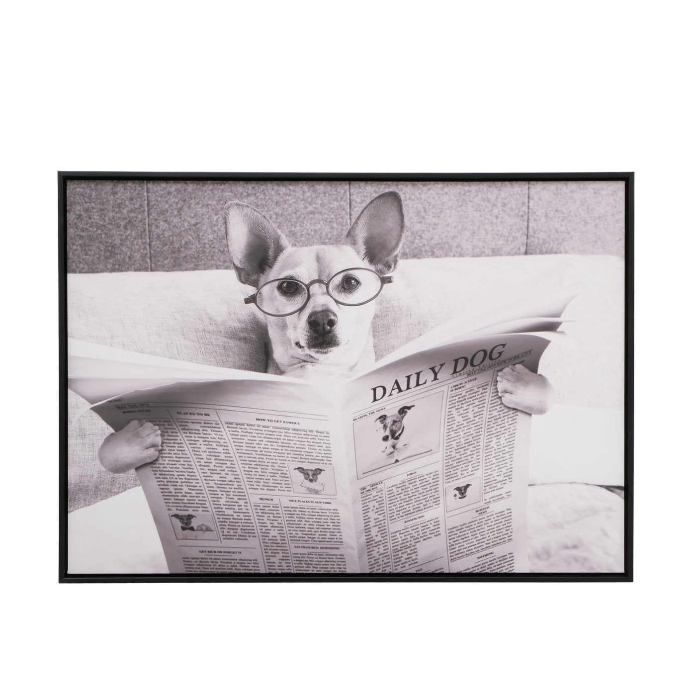 Leinwandbild Hund Daily Dog 70x50 cm Kunstdruck mit Rahmen