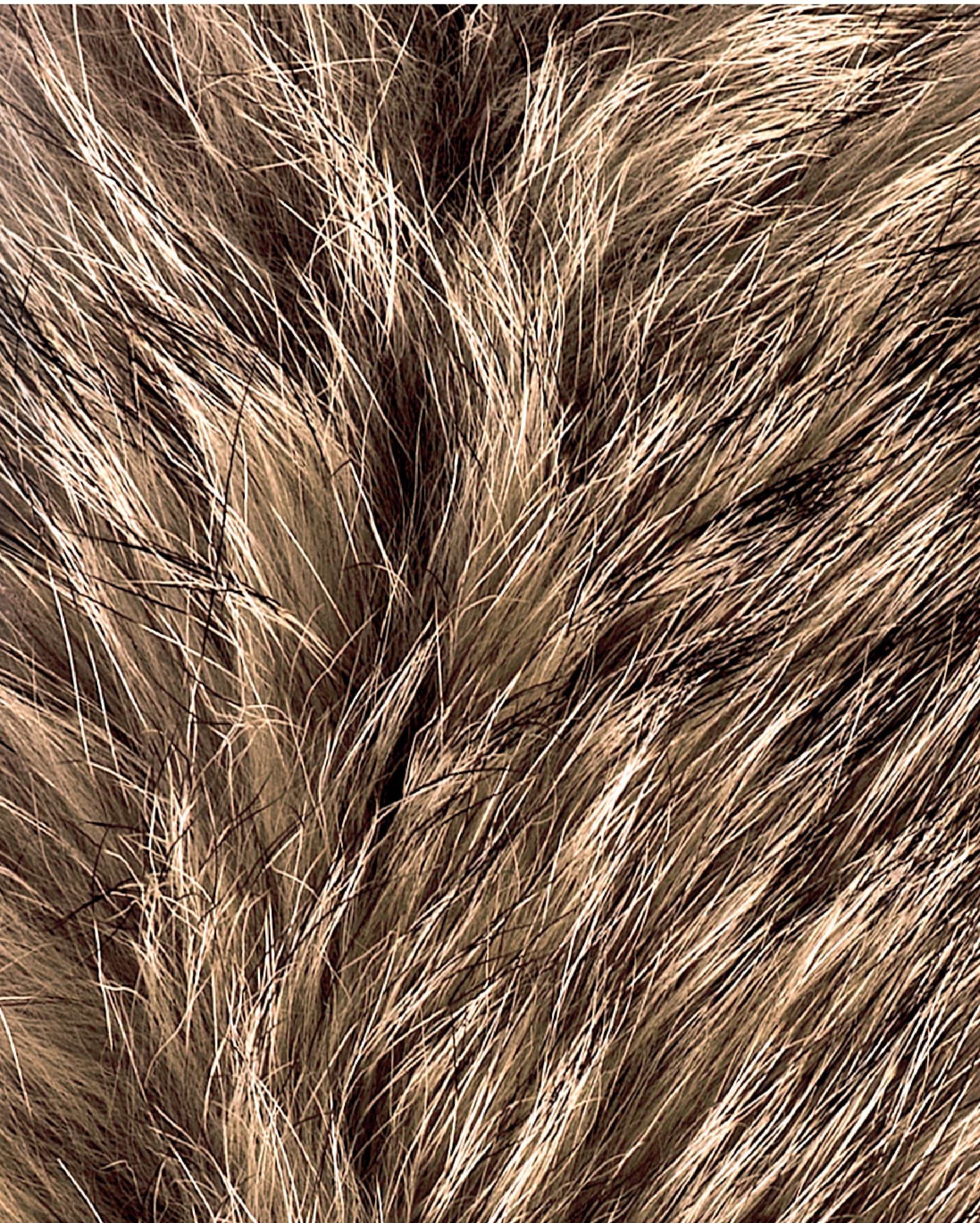 Rudi – charmante tafellamp in rendierdesign met feestelijke flair