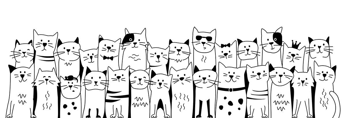 Katzenbande Becher aus Knochenporzellan 6er-Set – Weiß Kaffeetasse