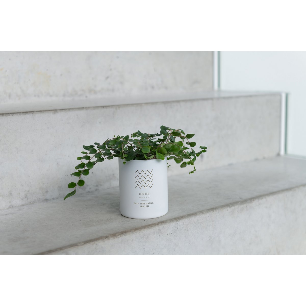 J-Line Astro Waterman Duftkerze – Sapphire Amber Tea – weiß – 50U