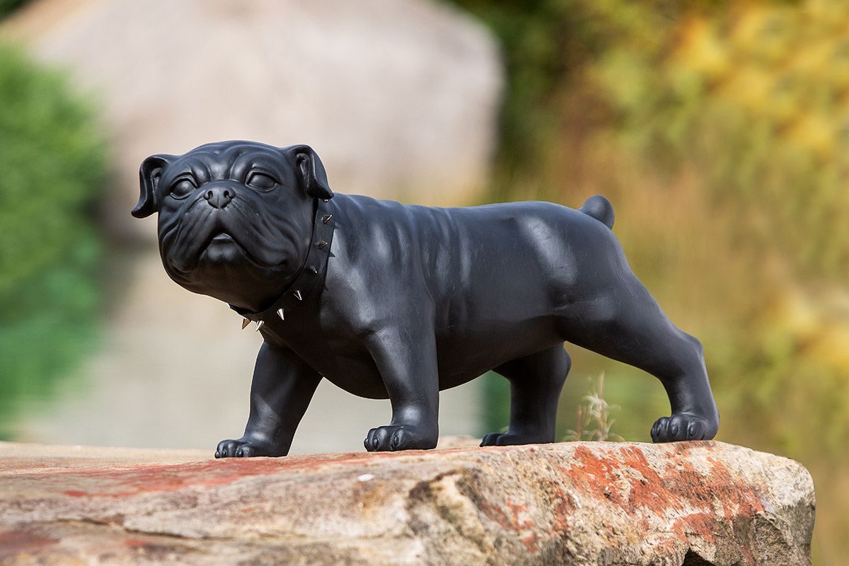 Beton Hund Bulldogge Bobby in schwarz Breite 70cm