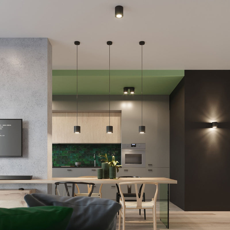 ORBIS 1 hanging light black