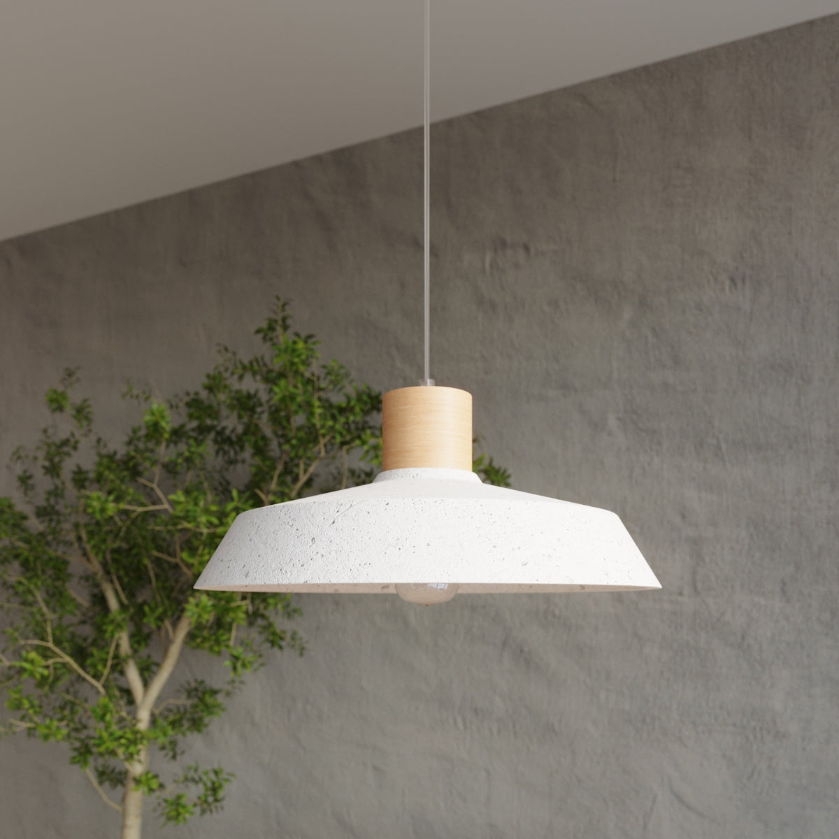 AFRA hanging light