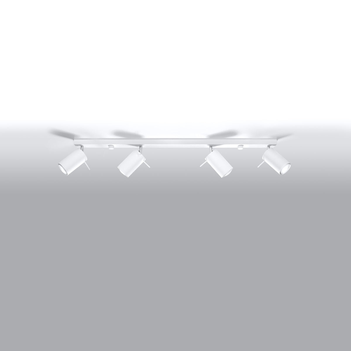 Ceiling light RING 4L white