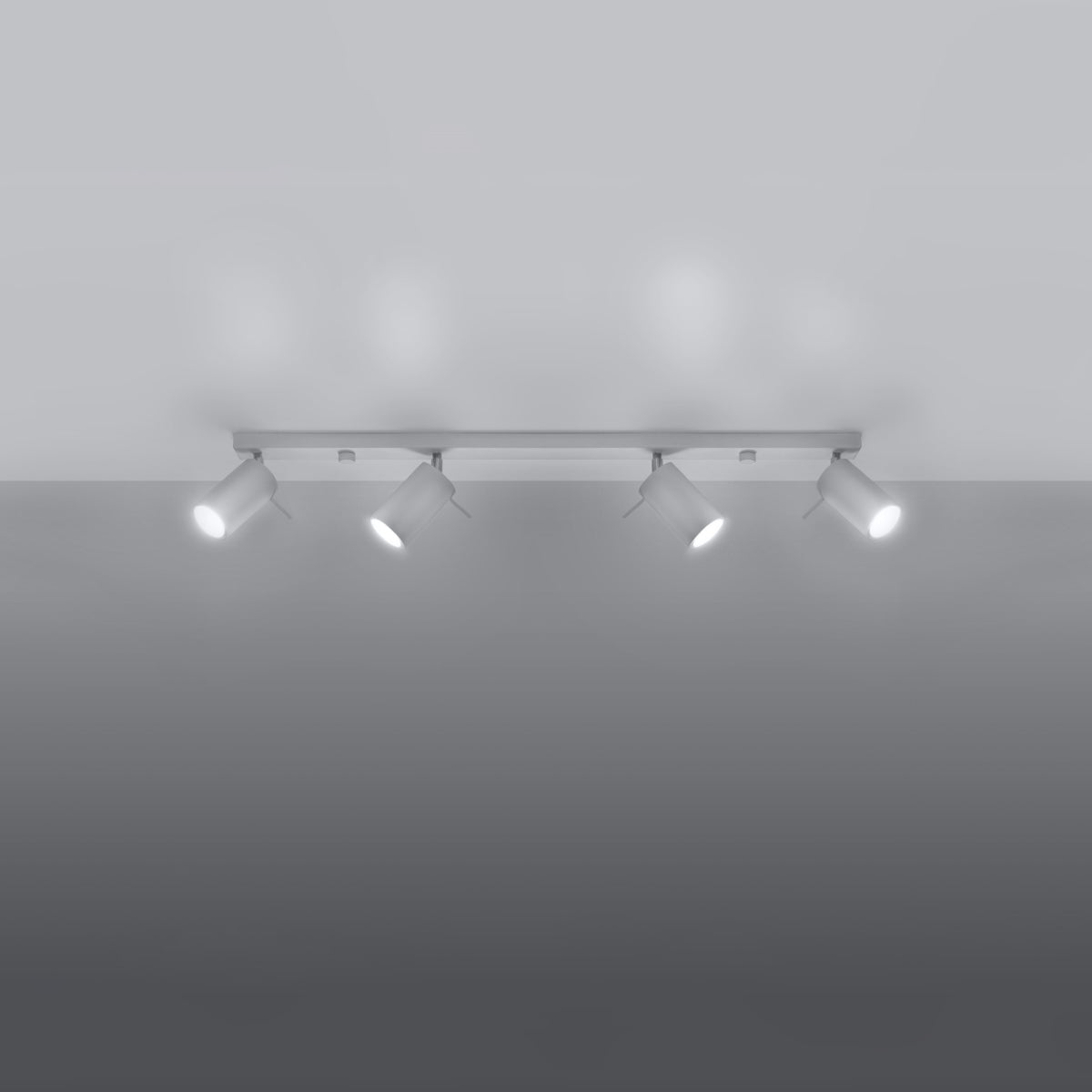 Ceiling light RING 4L white