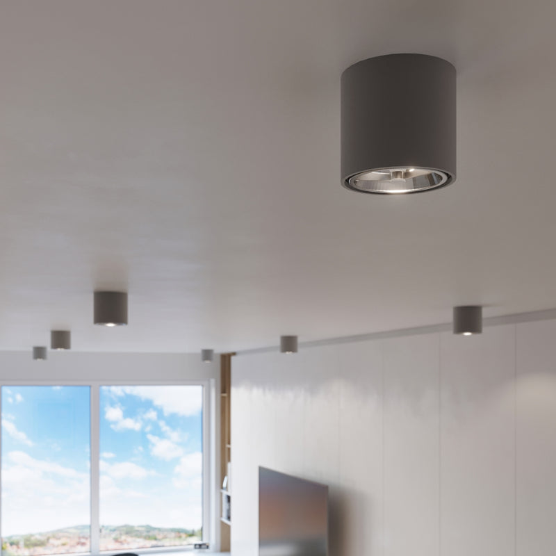 TIUBE gray ceiling light