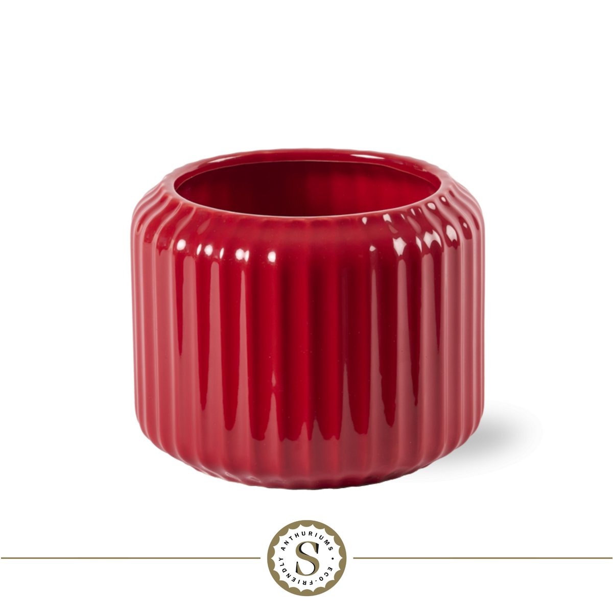 Bologna Dark Red Champion