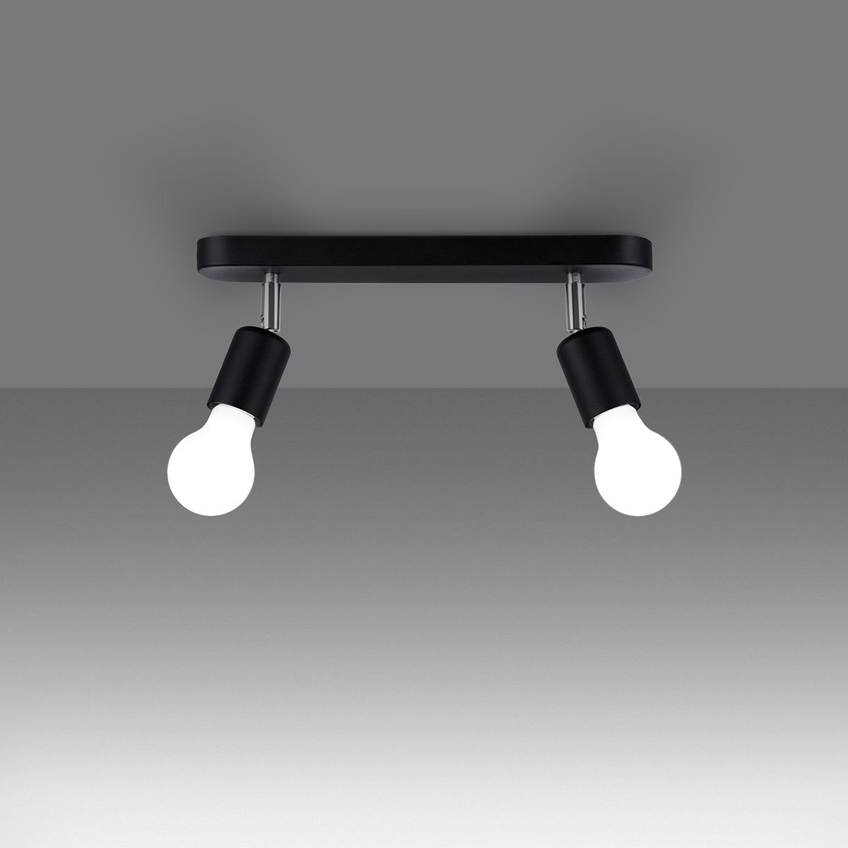 FORNES 2 plafondlamp zwart