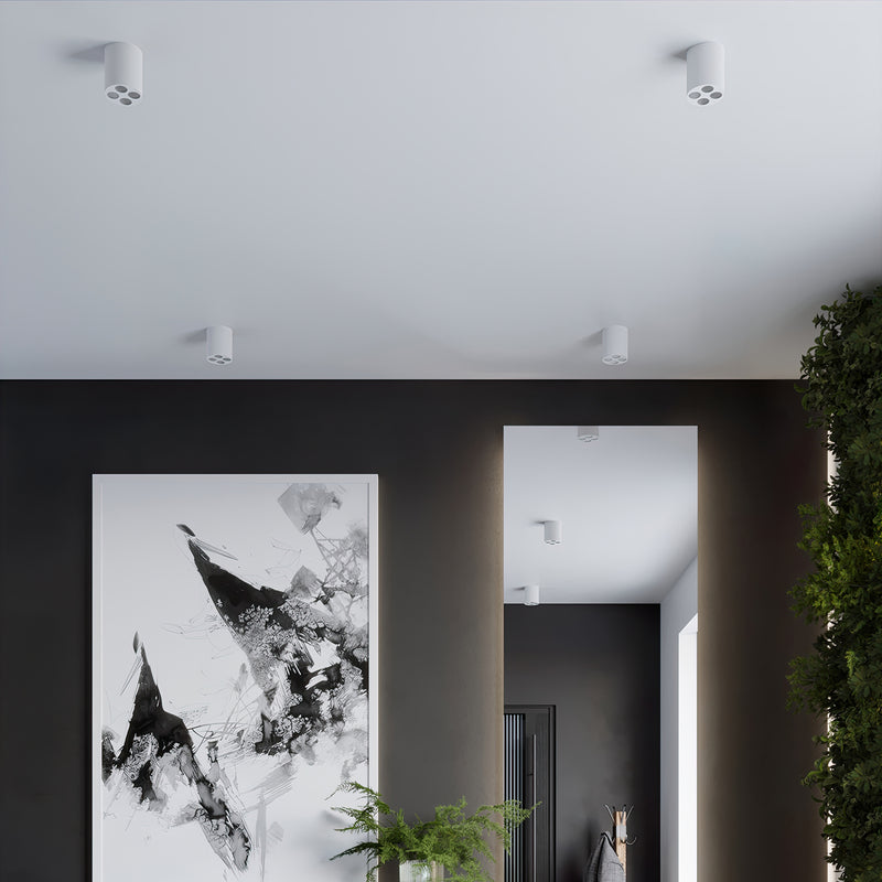 Ceiling light ZOE white LED