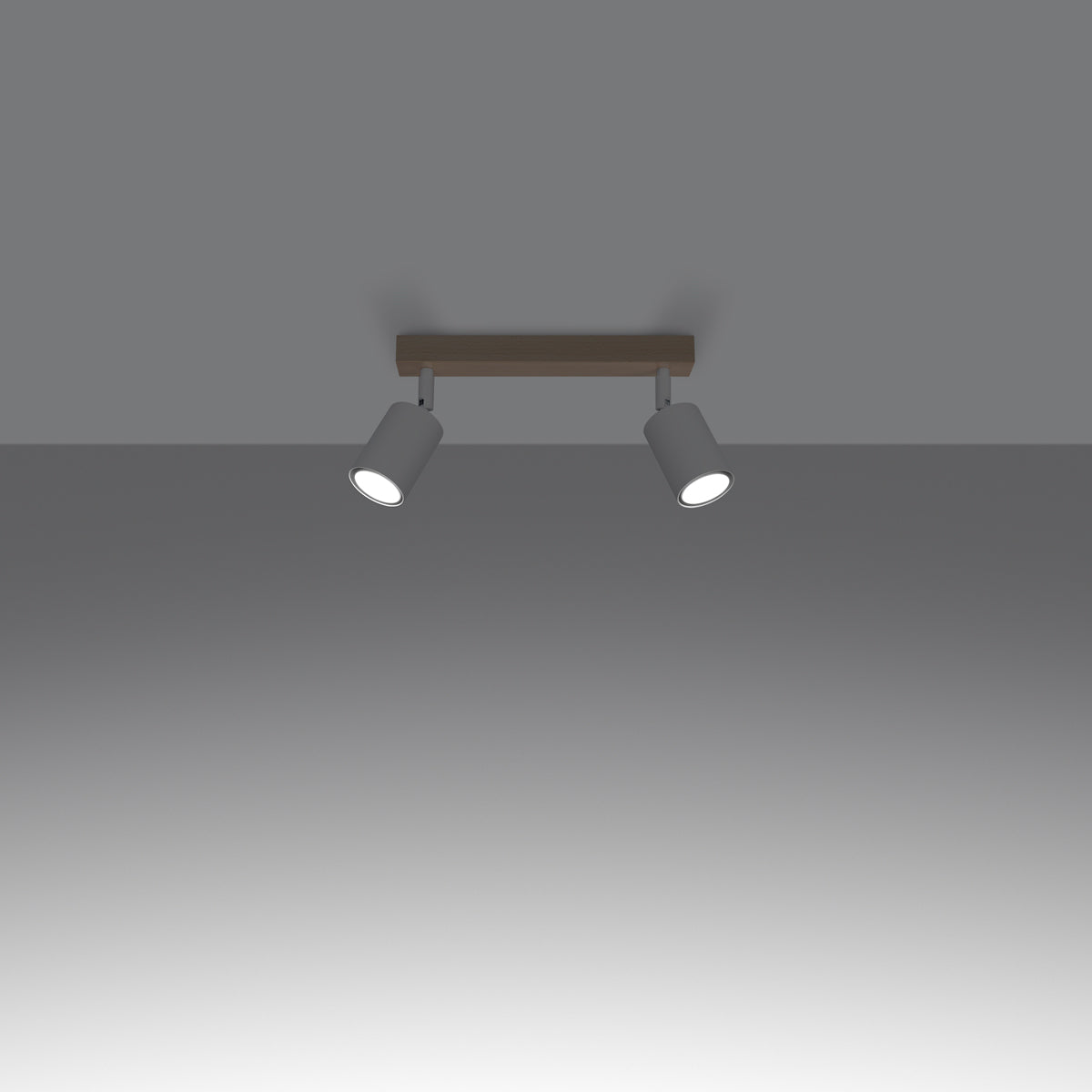 VERDO 2 ceiling light white