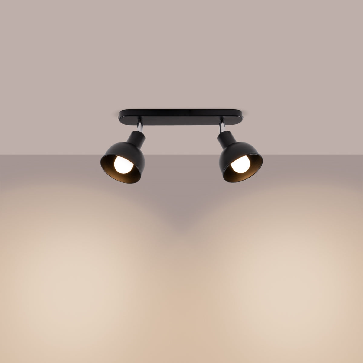 Plafond ELBA 2 zwart