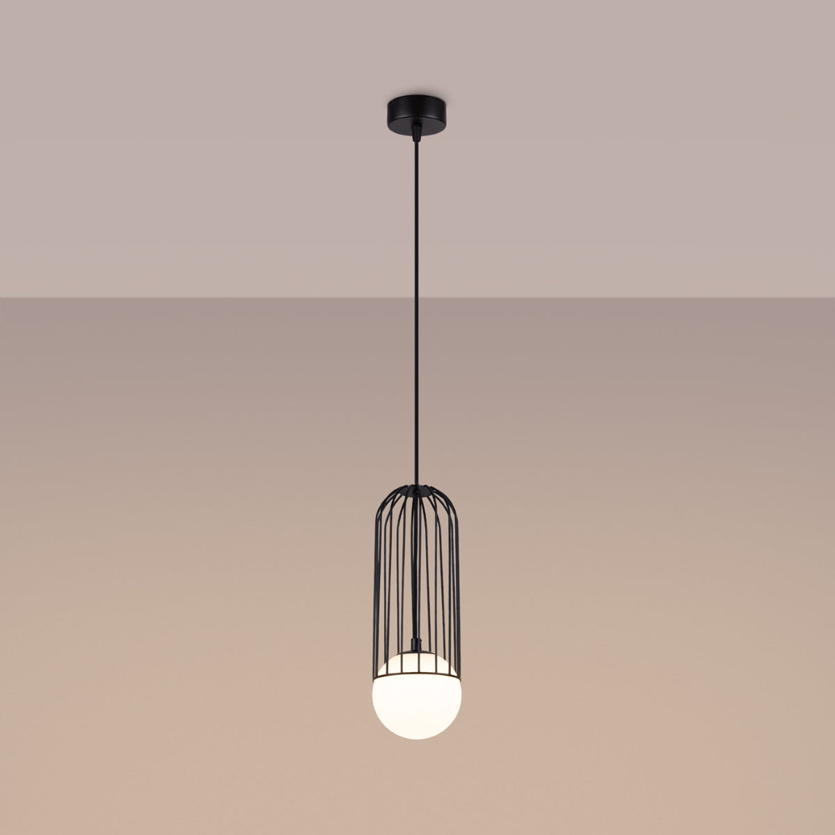 BRINA 1 hanglamp zwart