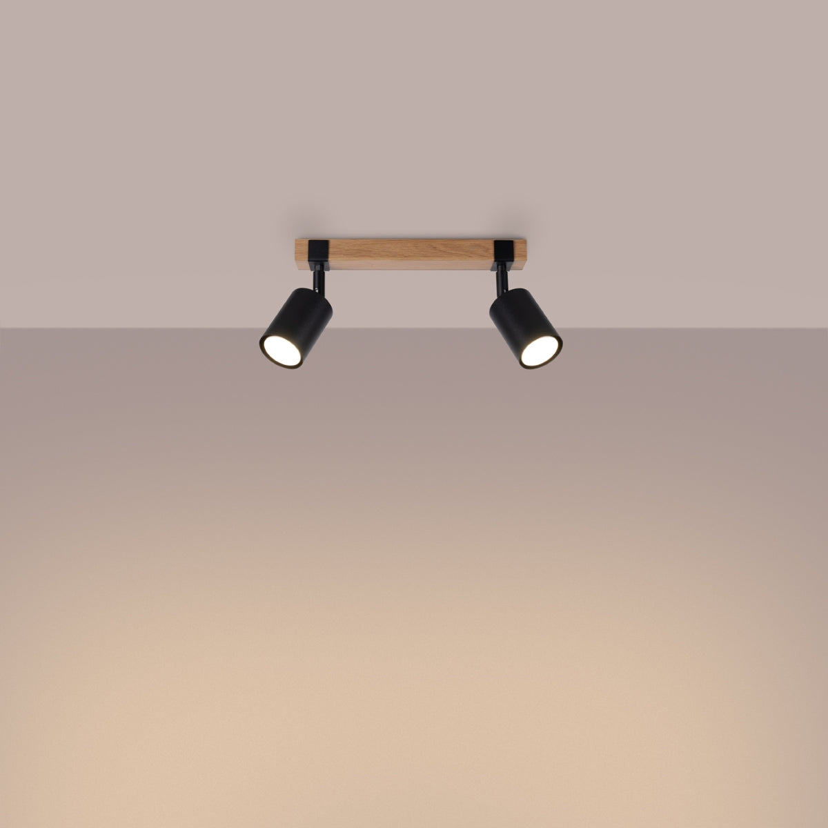 Plafond FAGER 2 Zwart