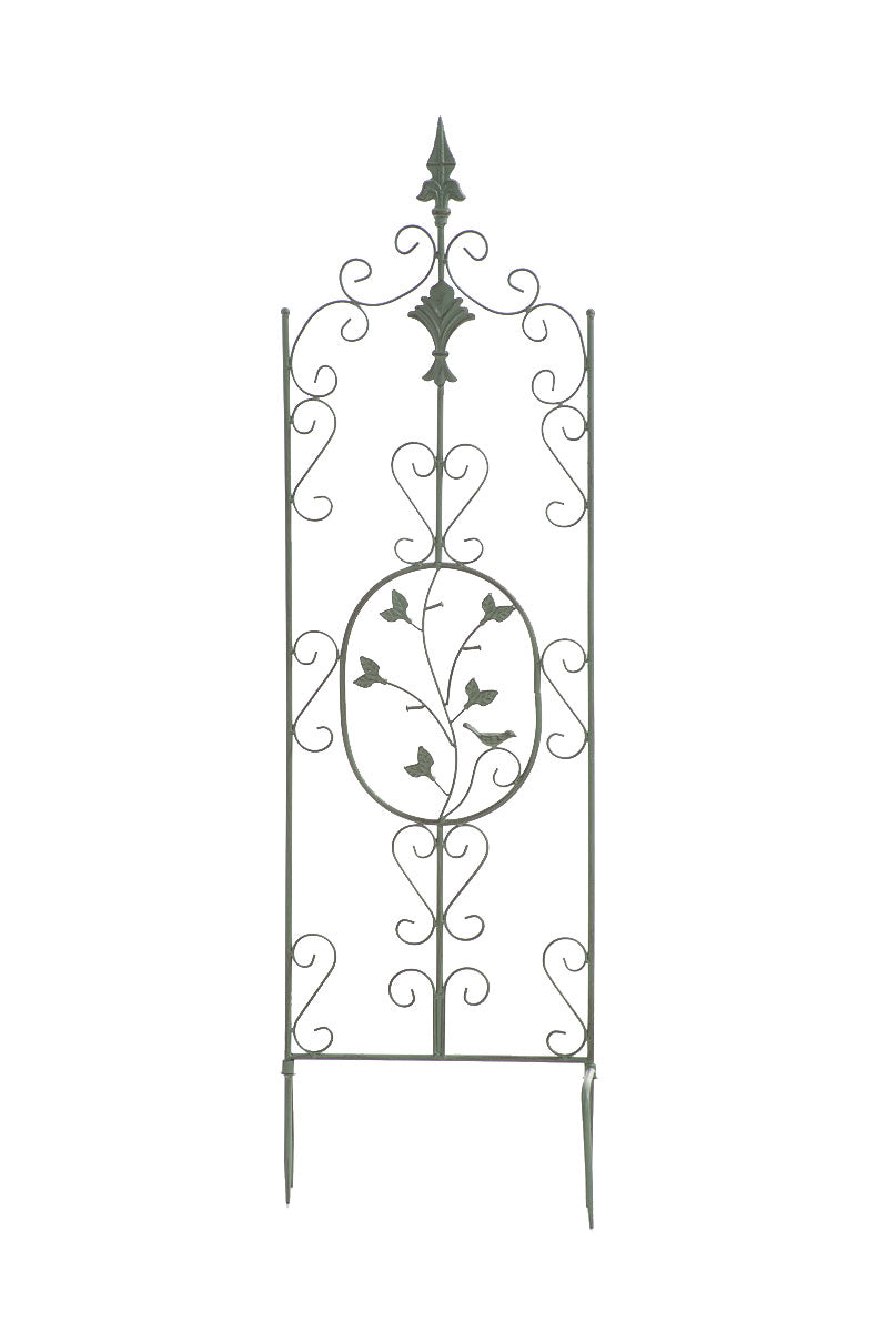 Pflanzen Rankgitter Burgus, 120 x 35 cm