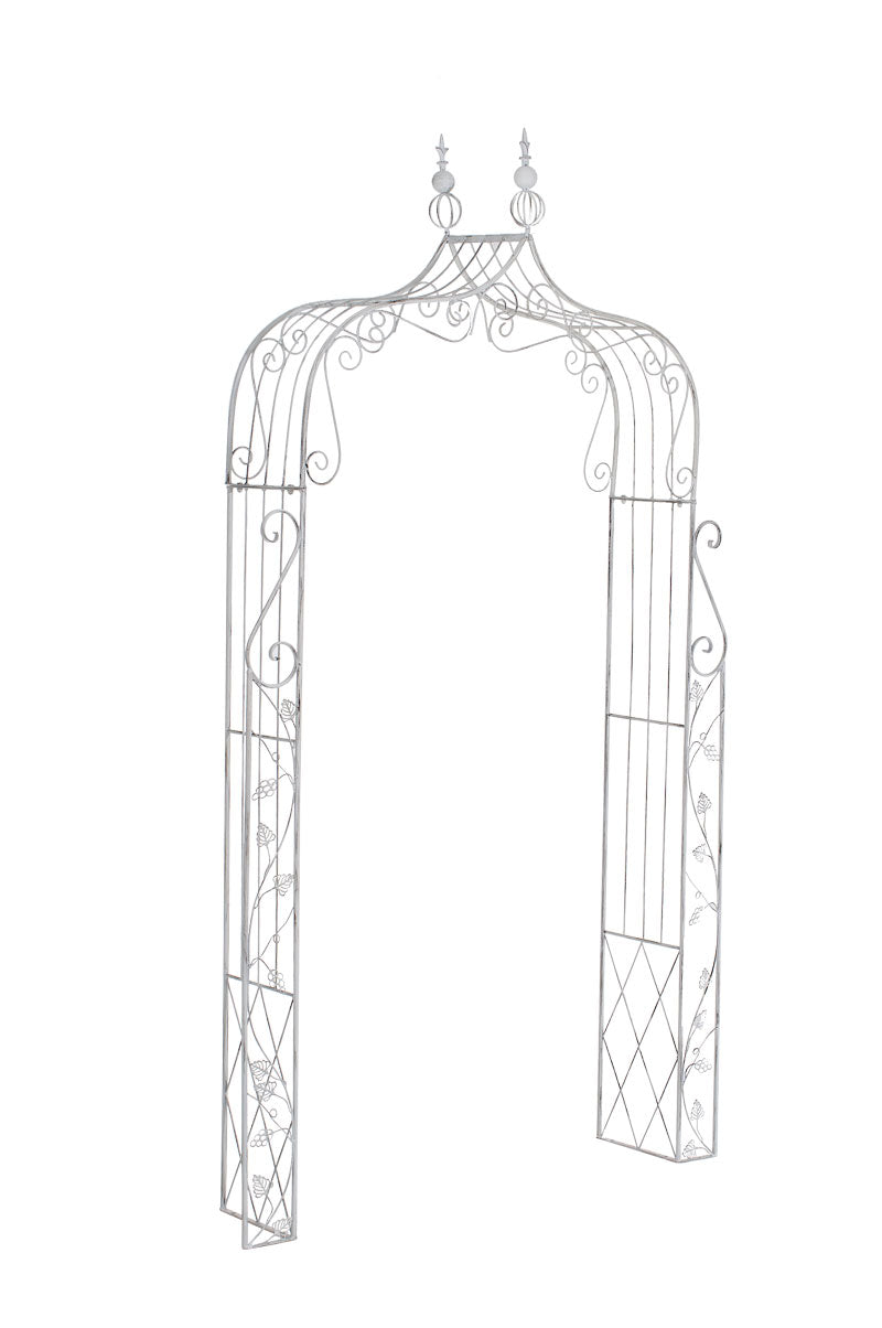 Aurora rose arch