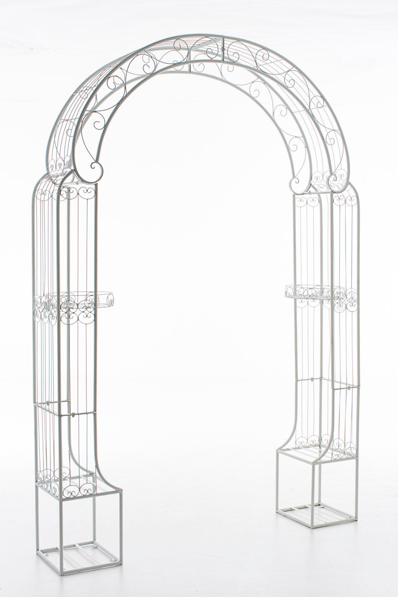 Rose arch Alessia