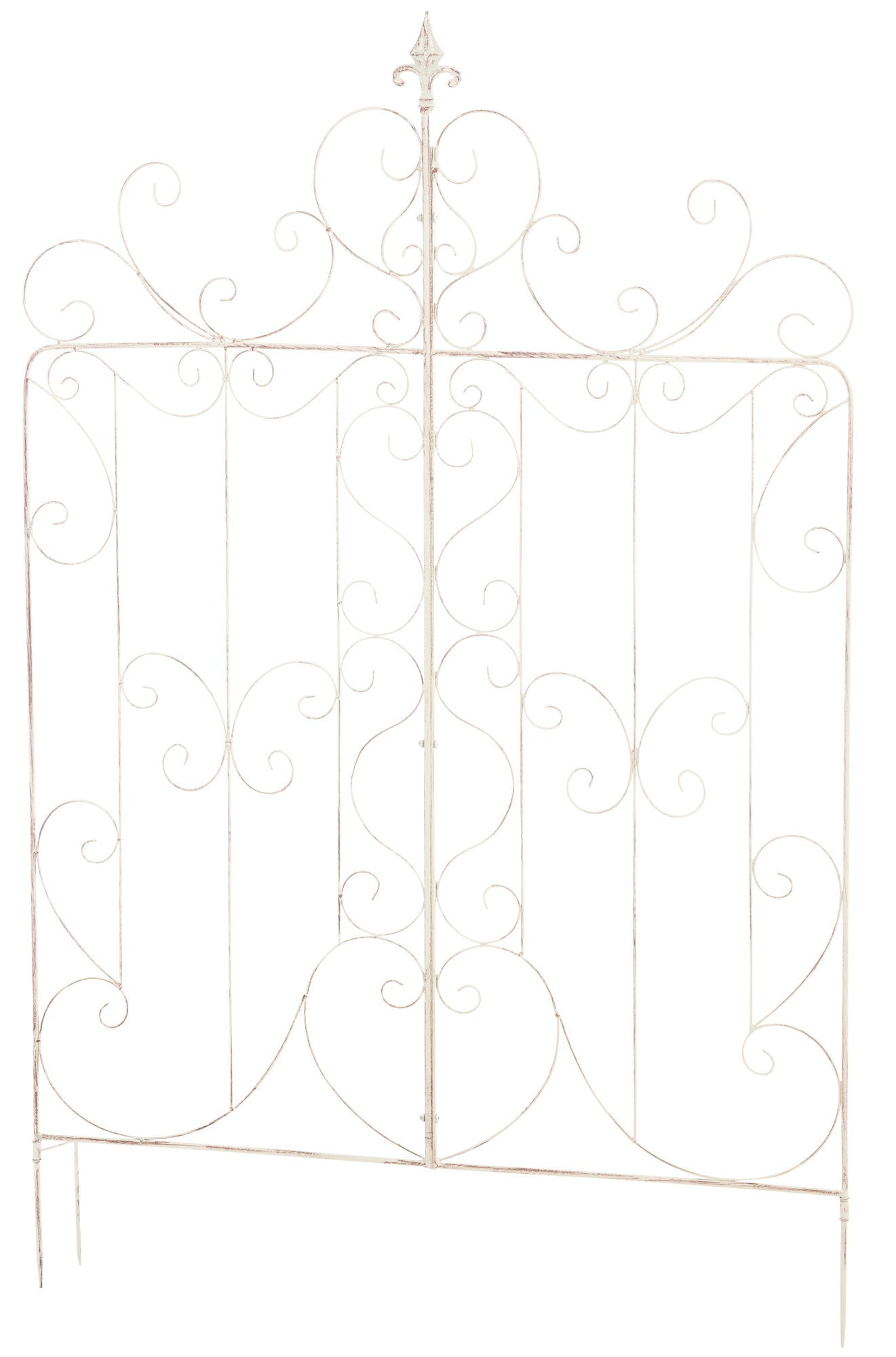 Mandevilla trellis