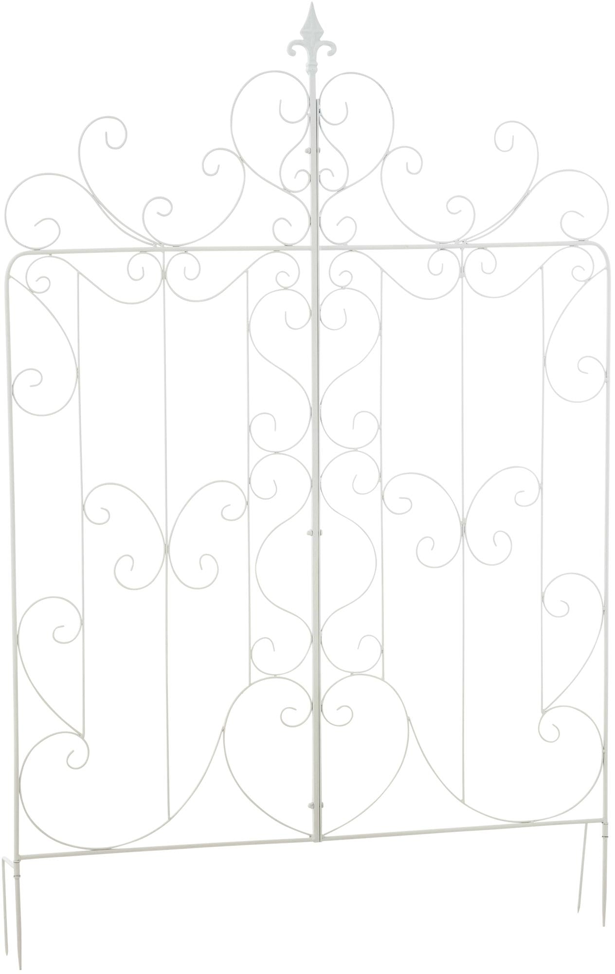 Mandevilla trellis