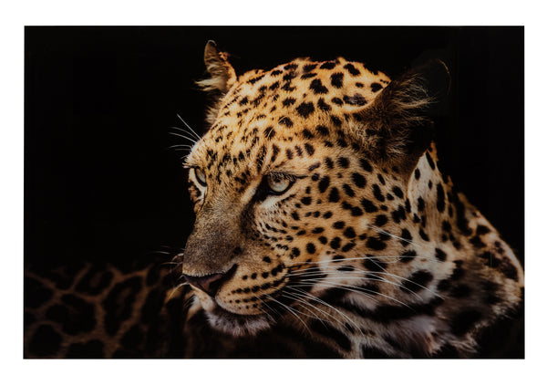 XXL Wanddekoration Leopard - Gehärtetes Glas in Farbmix - Eindrucksvolle und dynamische Kunst für Tierliebhaber und moderne Wohnräume