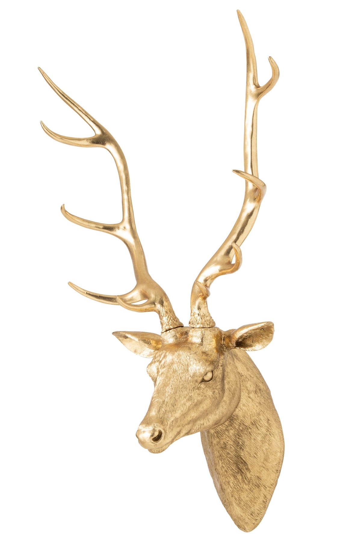 Wanddeko Hirschkopf Gold mit Geweih 103 cm