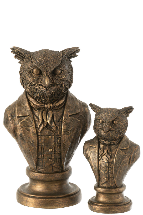 Exclusive bronze owl busts set of 4 large or set of 6 compact to choose from