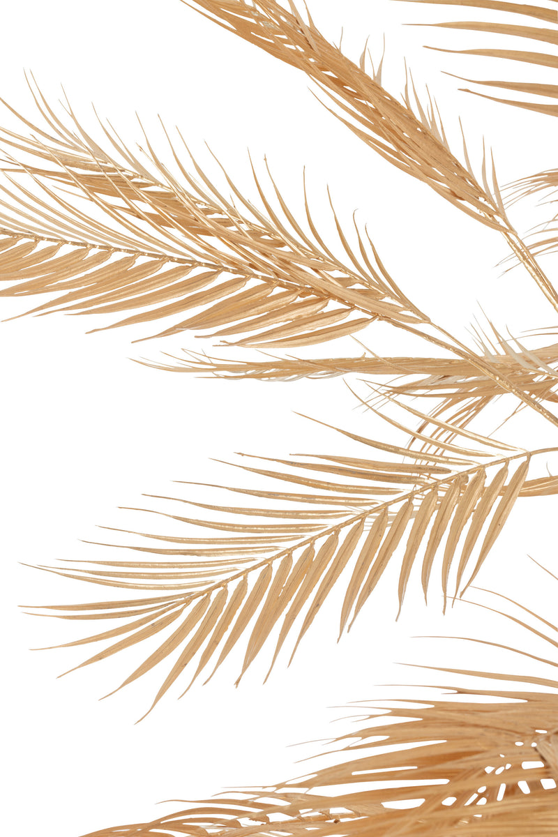 Elegante gouden stalen palmbladerenboom - Perfecte decoratie voor uw huis, kantoor, winkel en meer