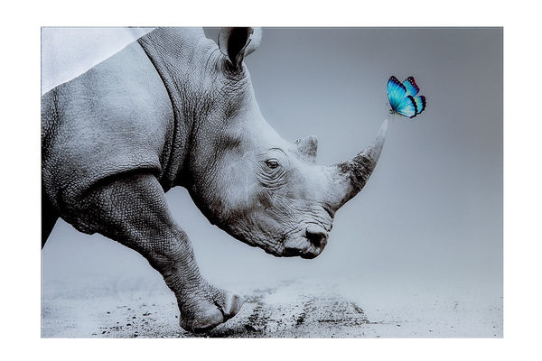 Acryl Bild Nashorn XANTU grau mit blauem Schmetterling Breite 120cm