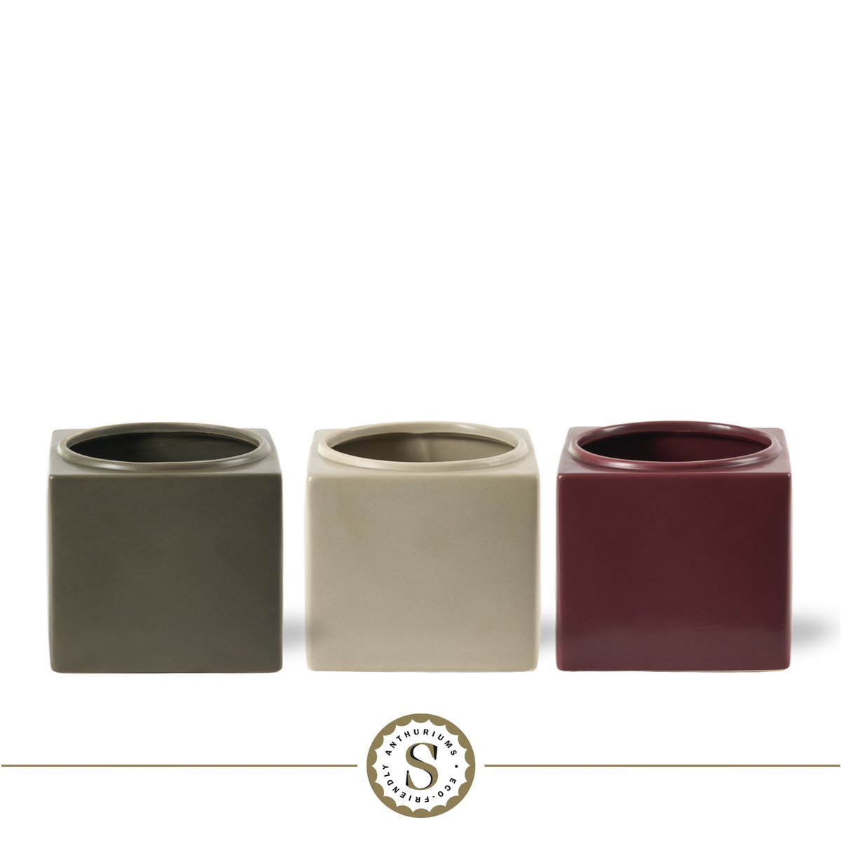 Belicia Wine Red Coral