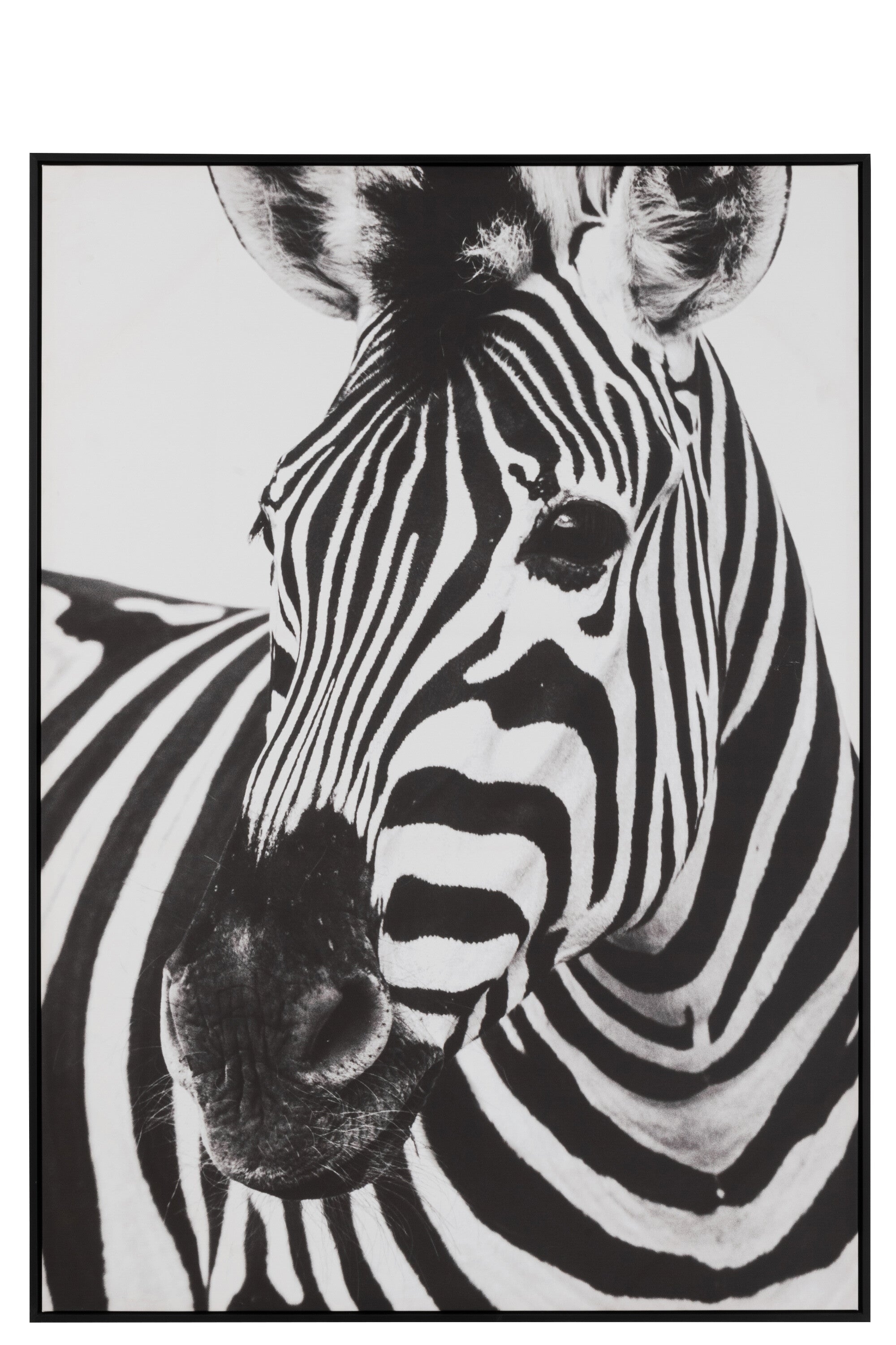 XXL Wanddekoration Zebra Leinwand Schwarz Weiß Höhe 143cm