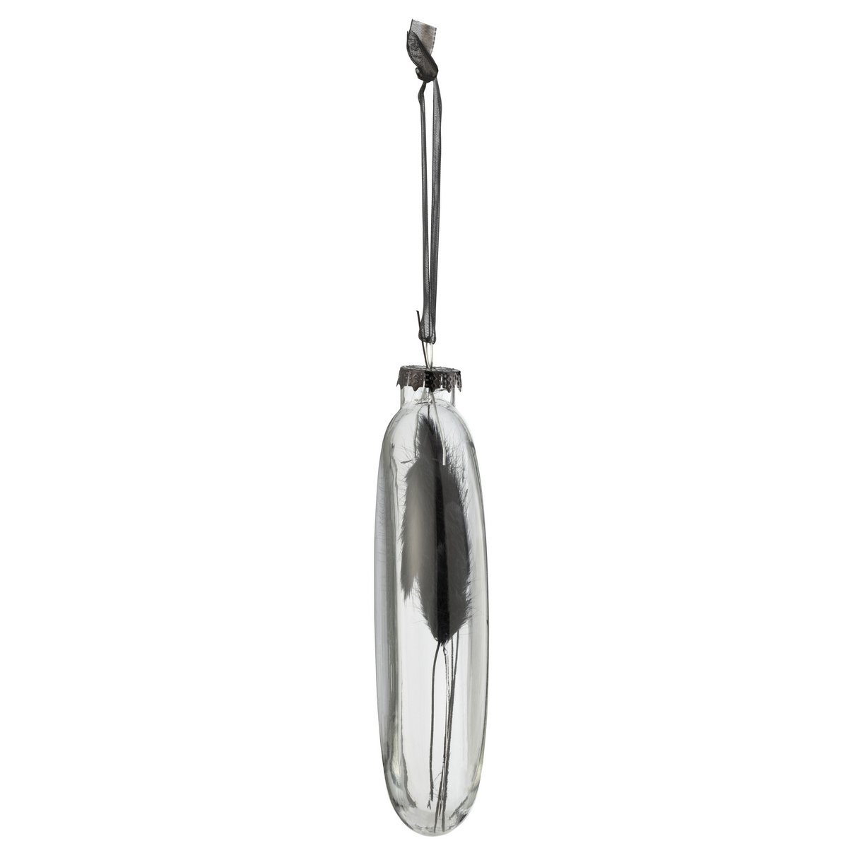 J-Line Box mit 4 Weihnachtskugeln, oval, flach, getrockneter Hasenschwanz, schwarzes Glas, transparent, groß