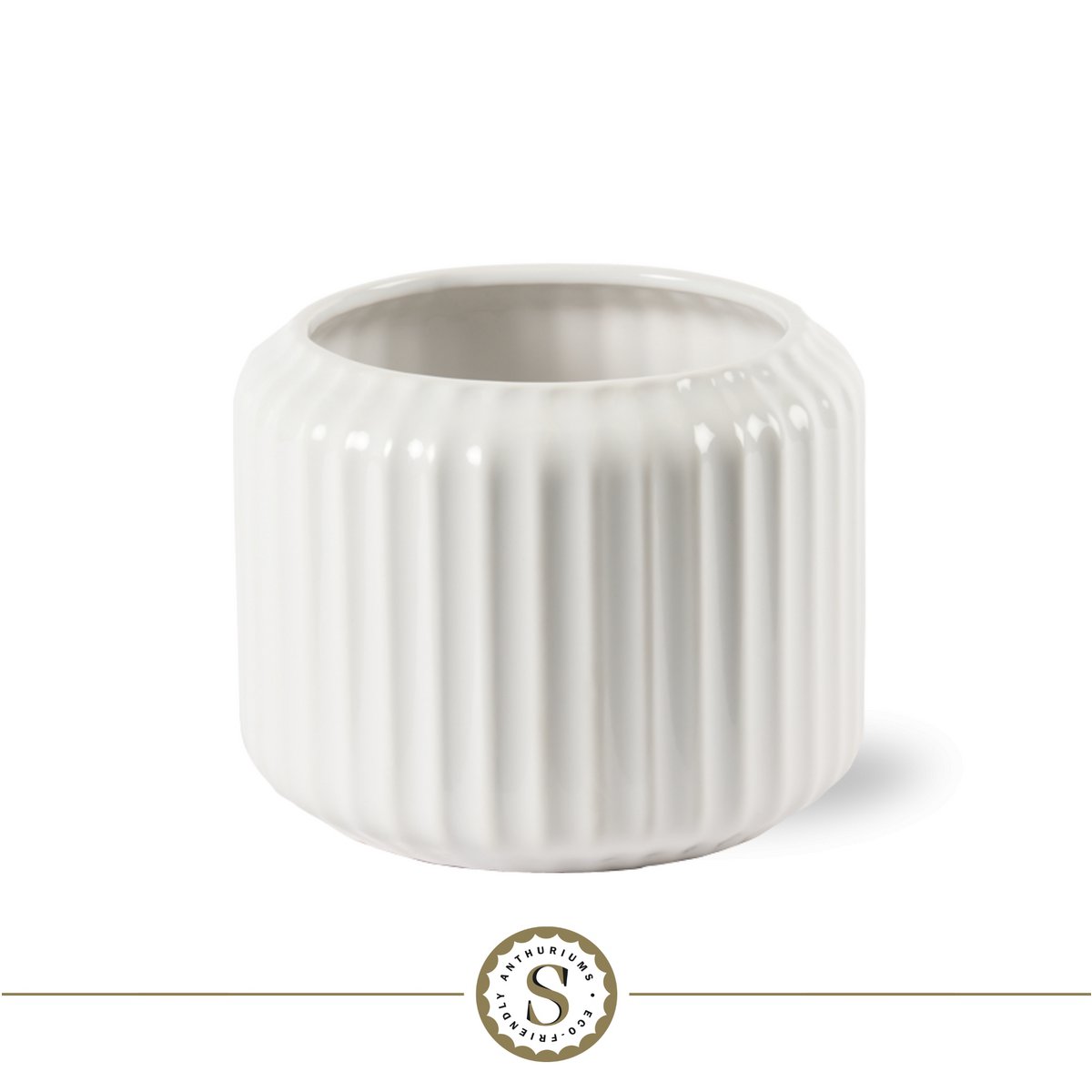 Bologna White Cava