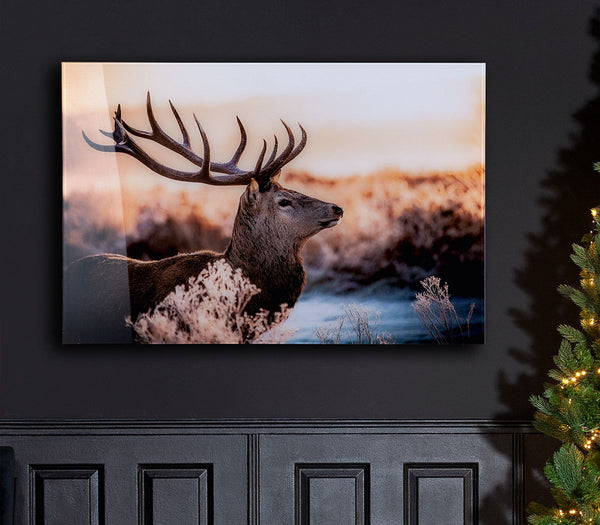 Stijlvol hert in boslandschap - exclusieve wandfoto van acryl/aluminium, 90 x 60 cm
